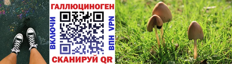 что такое наркотик  Артёмовский  OMG рабочий сайт  Псилоцибиновые грибы GOLDEN TEACHER 